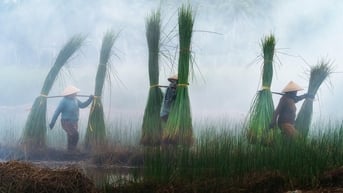 Lan tỏa vẻ đẹp văn hóa, con người Việt Nam đến thế giới