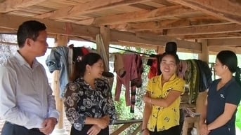 Triển khai đồng bộ, có hiệu quả giám sát, phản biện xã hội