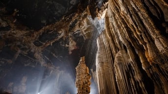 Hấp dẫn Tú Làn