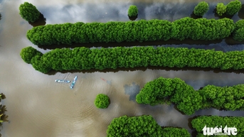 រីករាយជាមួយភាពពិសេសនៅក្រោមដំបូលនៃព្រៃកោងកាងធំជាងគេទីពីររបស់ពិភពលោក