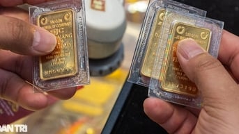 Giá vàng hôm nay ngày 16/6: Vàng miếng SJC lên 120,5 triệu đồng/lượng