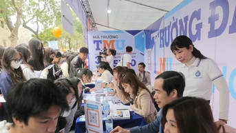 Các trường thực hiện thế nào?