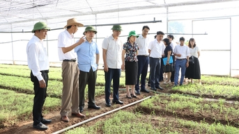 Hoạt động khuyến nông thúc đẩy phát triển nông nghiệp đa giá trị, bền vững