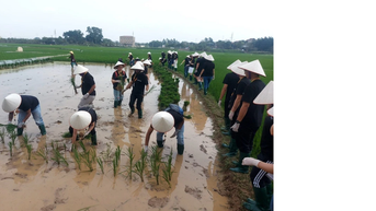 Du lịch xanh ngày càng trở thành xu hướng