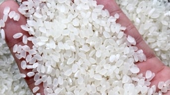 Giá gạo Nhật Bản tăng "sốc", gạo Việt liệu có cơ hội?
