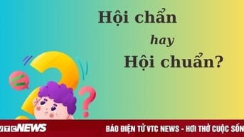 'Hội chẩn' hay 'hội chuẩn' mới đúng chính tả?