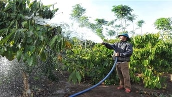 Đăk Nông tìm giải pháp lâu dài ứng phó hạn hán