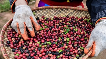 ចិន​ស្ងាត់​ៗ​ចំណាយ​លុយ​ច្រើន​ទិញ​ផលិតផល​វៀតណាម​ក្នុង​តម្លៃ​ថ្លៃ