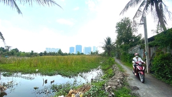 Hình ảnh bán đảo Bình Quới