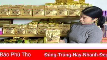 Giải pháp thúc đẩy, hỗ trợ nông dân trong sản xuất nông nghiệp