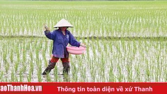 Các địa phương đẩy mạnh sản xuất vụ xuân 2025