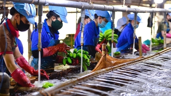 Sân chơi bình đẳng cho doanh nghiệp tư nhân
