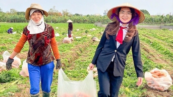 Đảng bộ Agribank chi nhánh tỉnh Hải Dương vững mạnh