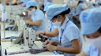 Đại gia ngành dệt may 'bơm' hàng trăm tỉ vào công ty bất động sản ở TP.HCM