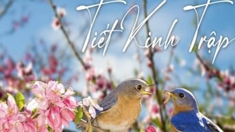 Các món ăn dưỡng sinh bổ dưỡng, nâng cao sức khỏe và làm đẹp da nên ăn vào tiết Kinh Trập