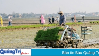 Nhiều đột phá để thu được hiệu quả cao trong lĩnh vực nông nghiệp