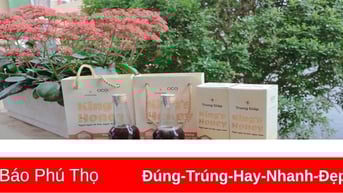 Ngọt ngào hương vị mật ong Trung Giáp