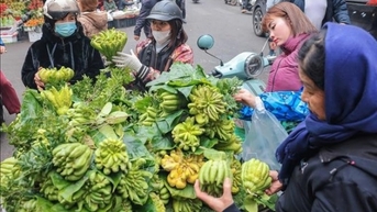 [រូបថត] ពិធីបុណ្យព្រះច័ន្ទពេញវង់ក្នុងខែមករា - ភាពស្រស់ស្អាតនៃវប្បធម៌ប្រពៃណីវៀតណាម