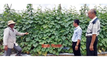 Không cho đất nghỉ - Binh Phuoc, Tin tuc Binh Phuoc, Tin mới tỉnh Bình Phước