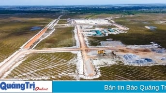 Chuyển đổi hơn 9 ha rừng để làm đường kết nối Cảng hàng không Quảng Trị với Quốc lộ 1