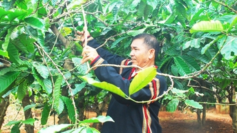 Đắk Lắk khó khăn trong hỗ trợ đất ở, đất sản xuất đối với đồng bào DTTS