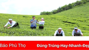 Phát triển hợp tác xã vùng dân tộc thiểu số