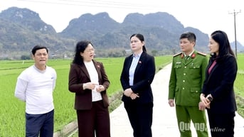 Đoàn đại biểu Quốc hội tỉnh giám sát tại xã Phúc Ứng, công ty TNHH DABACO (Sơn Dương)