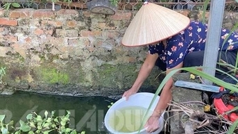 Thanh tra đột xuất Công ty Việt Đức