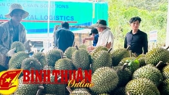 Sầu riêng và câu chuyện chữ tín cho nông sản