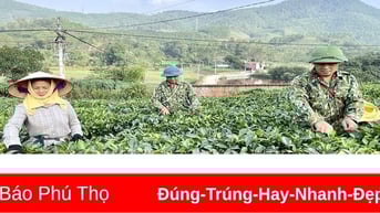 Phát triển và bảo tồn làng nghề truyền thống