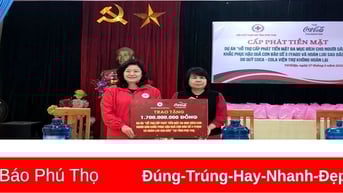 Gần 600 hộ dân được hỗ trợ tiền mặt khắc phục hậu quả cơn bão số 3