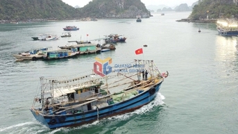Quảng Ninh siết chặt kiểm soát IUU