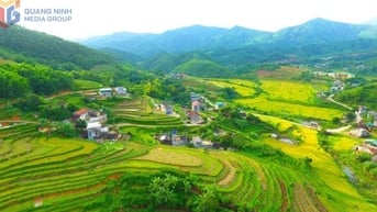 Nỗ lực thu hẹp khoảng cách vùng miền