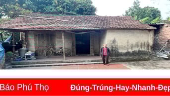 Việt Trì phấn đấu sửa chữa, xây mới 27 nhà tạm, nhà dột nát