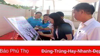Phụ nữ tham gia xây dựng nông thôn mới