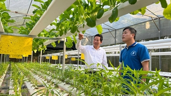 Điểm nhấn nông thôn mới