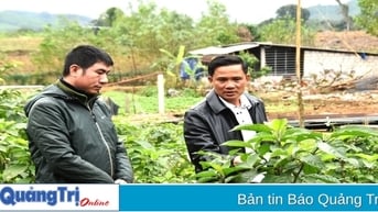 Nuôi khát vọng làm giàu với lợn Vân Pa