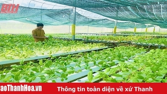 Hiệu quả từ nguồn vốn phát triển nông nghiệp ở Nông Cống