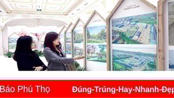 Nguy cơ vỡ bong bóng có thể xảy ra khi đặt kỳ vọng sinh lời vào bất động sản