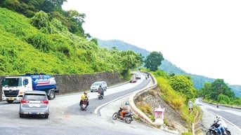 Chim rời tổ