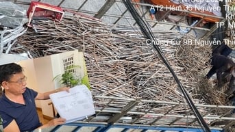 Ban Nội chính Tỉnh ủy vào cuộc vụ tự ý bán tài sản khi cưỡng chế ở Nha Trang