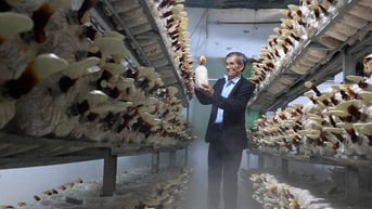 Đẩy mạnh nghiên cứu khoa học và phát triển công nghệ phục vụ kinh tế -...