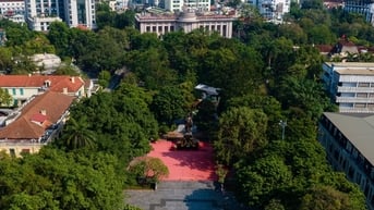 Không di dời cây xanh có giá trị và cổ thụ ở vườn hoa Lý Thái Tổ