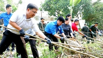 Ngày Đoàn viên cùng Chủ nhật xanh chung tay vì thành phố xanh