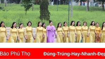 Phòng chống bạo lực gia đình