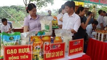 Kiến Xương: Chú trọng phát triển sản phẩm OCOP