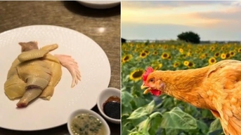 Đĩa gà luộc có giá 1,6 triệu đồng gây tranh cãi