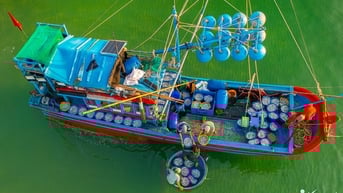Đặc sản xứ 'hoa vàng trên cỏ xanh' vào mùa, người dân tất bật kiếm tiền triệu