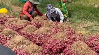 Thế giới sẽ đổi vị?