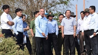 Bạc Liêu chốt hạn hoàn thành dự án nâng cấp đê biển Đông trong 60 ngày